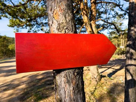 Red pointer arrow on a tree Stock Photos