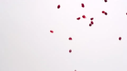 Red pomegranate arils falling in slow motion on white studio backdrop in 4k Stock Footage 234181089