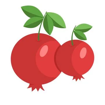 Red pomegranate isolated on white background Stock Illustration