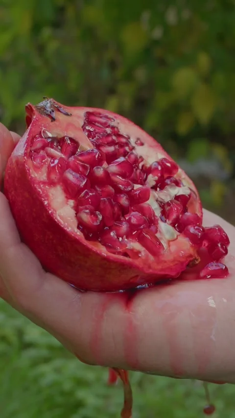 Red pomegranate juice flows down the hand, against the background of green trees 스톡 동영상 237705479