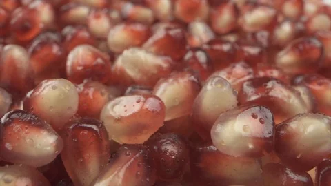 Red pomegranate seeds close-up Video stock 103630366
