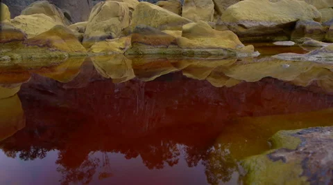 Red pond water Stock Footage 48976016