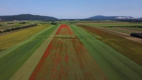 Red poppies and other fields from the air Stock Footage 243911363