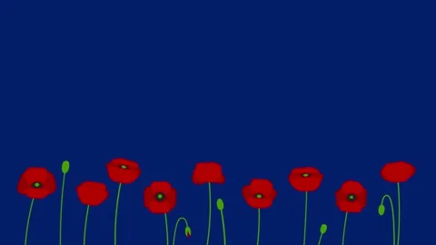 Red poppies background with copy space for Remembrance and Memorial Day. Video stock 333229599