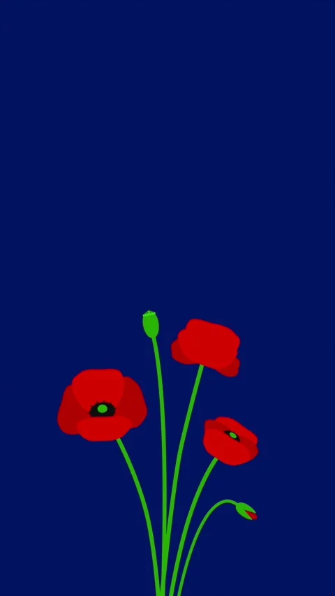 Red poppies on the bottom with copy space for Remembrance Day. 動画素材 333511356