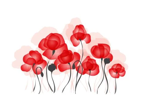 Red poppies elegant vector background white isolated Stock Illustration