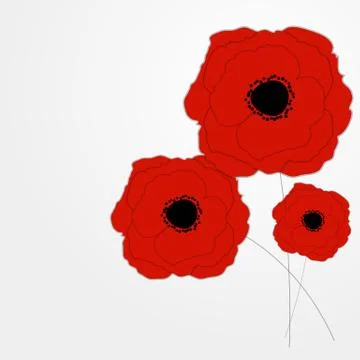 Red Poppies Flower Background Vector Illustration Stock Illustration
