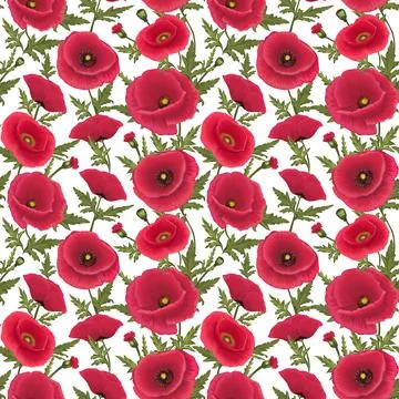 Red poppies Stock Illustration