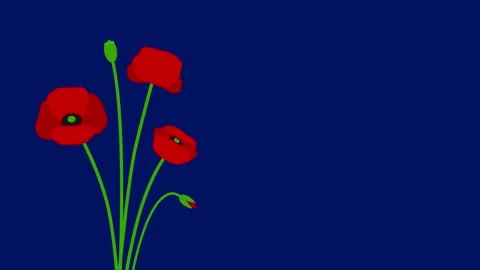 Red poppies on the left side with copy space for Remembrance Day. 스톡 동영상 333511344