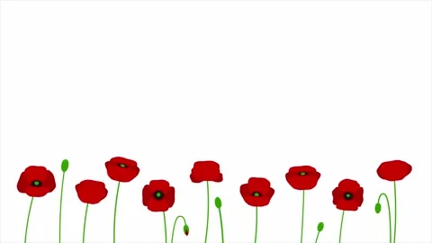 Red poppies lower border background with copy space for Remembrance Day Video stock 333549760