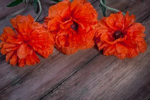 Red poppies Stock Photos