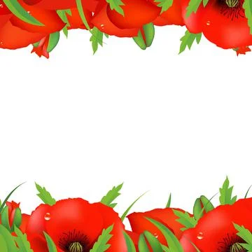 Red Poppy Border Stock Illustration