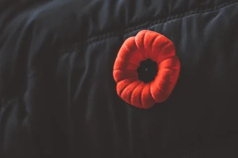 A Red Poppy Flower of Remembrance Day in a Black Coat Stock Photos