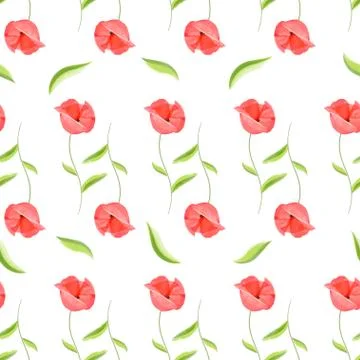 Red poppy flower romantic pattern Stock Illustration
