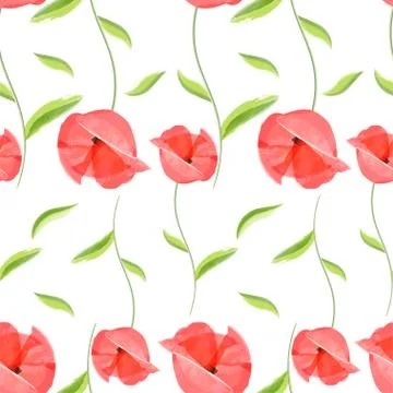 Red poppy flower romantic pattern Stock Illustration