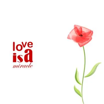 Red poppy flower romantic pattern Stock Illustration