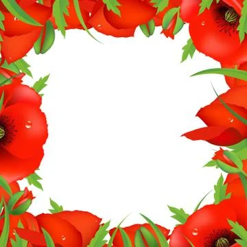 Red poppy frame Stock Illustration