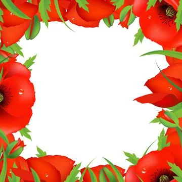 Red Poppy Frame Stock Illustration