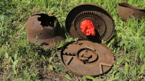Red poppy on the helmet  Stock Footage 50123739
