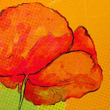 Red poppy Illustrazione stock