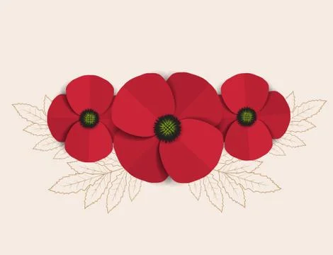 Red Poppy Stock Illustration