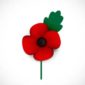 Red poppy Stock Illustration
