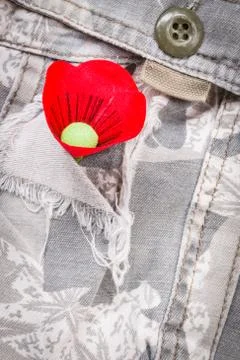 The red poppy is a symbol of Thailand Veterans Day Stock Photos