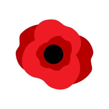 Red poppy on white background vector illustration. Remembrance Day, Memorial Day Stock Illustration