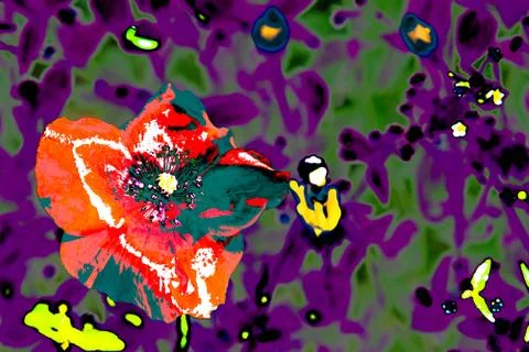 Red poppys flower in summer field on a background of green grass Stock Illustration