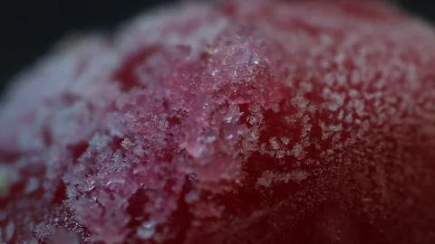 Red Popsicle Begins to Melt MAC Stock Footage 74749891