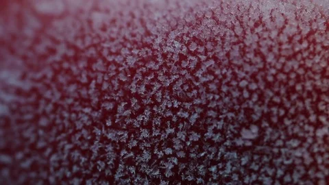 Red Popsicle Melting MAC Stock Footage 74749894