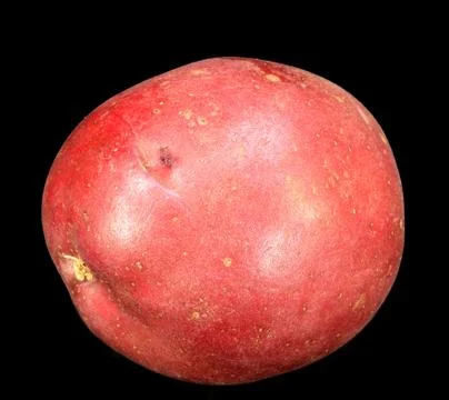 Red potato Stock Photos