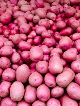 Red potatoes on display Stock-Fotos