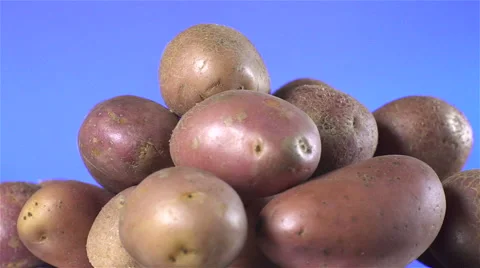 Red Potatoes isolated rotating on blue background. Video stock 63344444