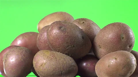 Red Potatoes isolated rotating on green background. Stock Footage 63345487