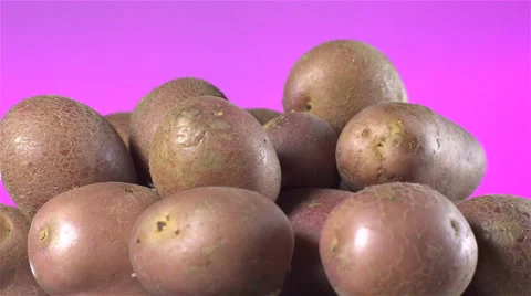 Red Potatoes isolated rotating on pink background. Video stock 63349171