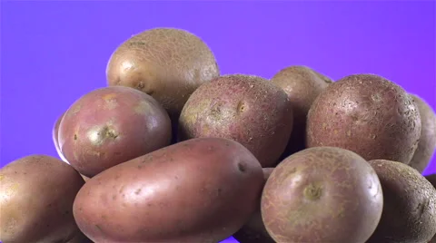 Red Potatoes isolated rotating on purple background. Stock Footage 63349685