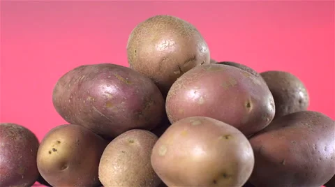 Red Potatoes isolated rotating on red background. Stock Footage 63345571