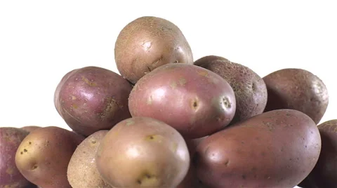 Red Potatoes isolated rotating on white background. Stock Footage 63346816
