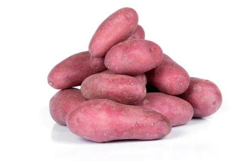 Red potatoes on Foto stock