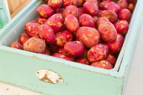 Red Potatoes Stock Photos