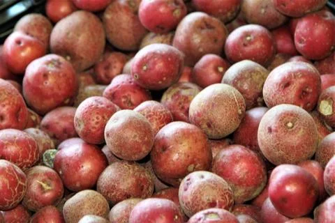 Red potatoes Foto stock