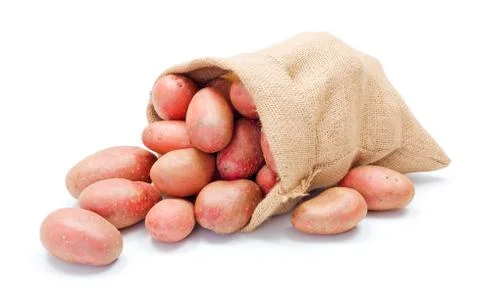 Red potatoes in sack Stock Photos