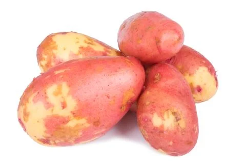 Red potatoes on white background Foto stock