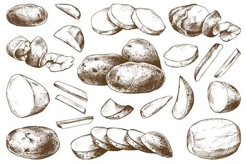 Red potatoes whole, half, cut, peeled and wedges. Graphic illustration hand Stock Illustration
