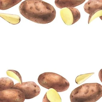 Red potatoes whole, half, cut, peeled and wedges. Watercolor hand drawn Stock Illustration