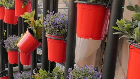 Red pots in a separation grid Stock Footage 102694589