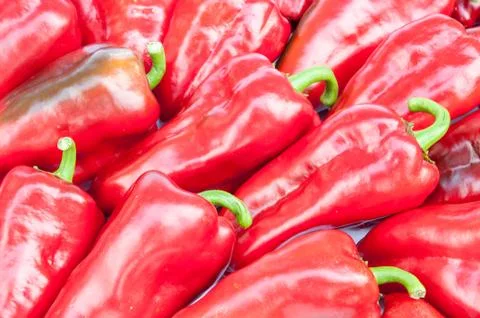 Red ppeppers in a rows Stock Photos