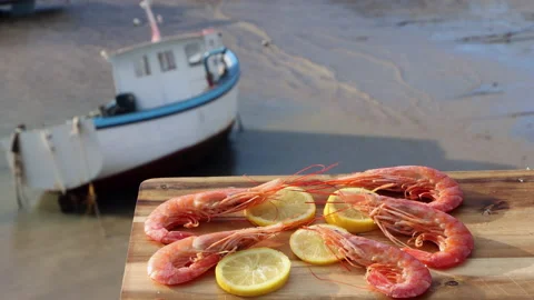 Red Prawns in front of boat on Devon Harbour Stock Footage 231603272