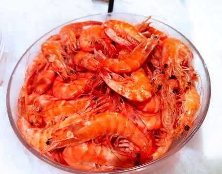 Red prawns on ice Stock Photos
